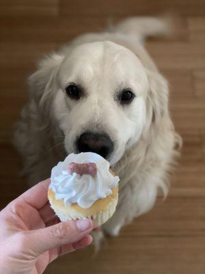 Pupcake