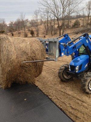 Round bales of hay