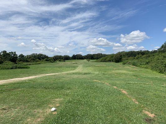 Fresh cut rough and solid fairways.