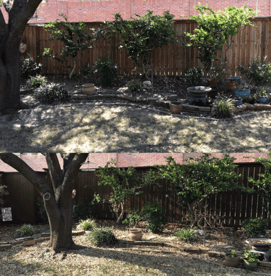 Before and after fence stain photo.  You really have to see it in person to appreciate the rich dark finish.