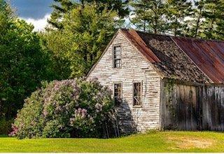 LILAC BARN
 ~ BILL THOMPSON