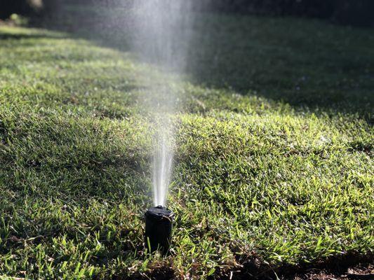 Texas Best Irrigation & Landscaping