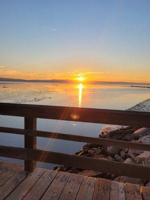 Hayward Regional Shoreline