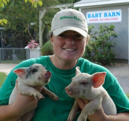 Cute piggies to bottle feed