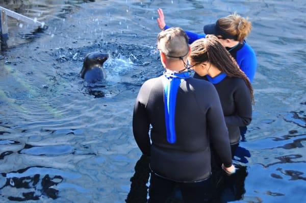 We were paid a little visit by this Baby Seal!