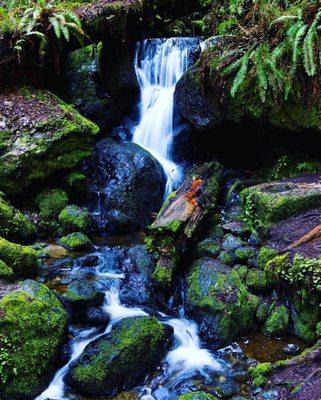 Trillium Falls!