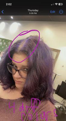 hair going to new stylist. unnatural layers. weird bluish hair at my roots and strange brown band. 4 purples