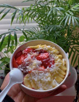 Medium Tropical Bowl