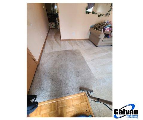 Galvan Carpet Cleaning & Car Detailing