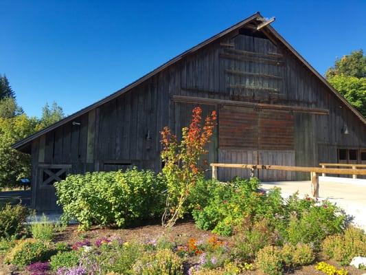 The Stein Homestead