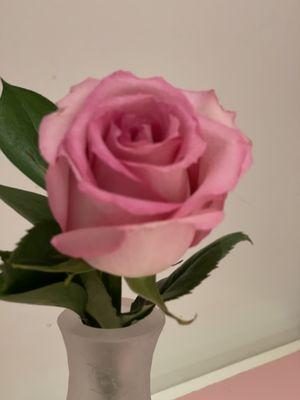 A beautiful fresh pink rose on every table.