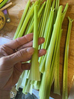 Two super Skinny, straw like cleaned and ready to juice celery sticks