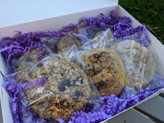 Fall Sample Box (Oatmeal Raisin, Pumpkin Praline, Salted Caramel Apple Pie)