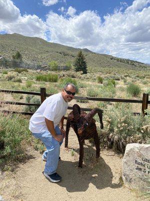 My husband isn't fooling anyone here, this is a metal bighorn sheep, state animal of Nevada, by the way