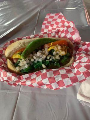 Chicago dog