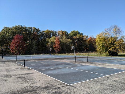 Pickleball Court at DuBarry Park.