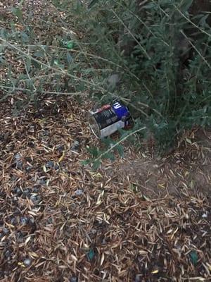 Also left a ton of trash in my yard- that's an overturned and open can of tar.