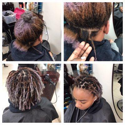 Starter locs interlocking