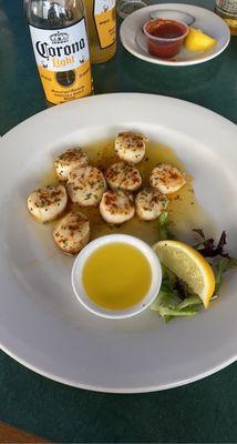 Scallops