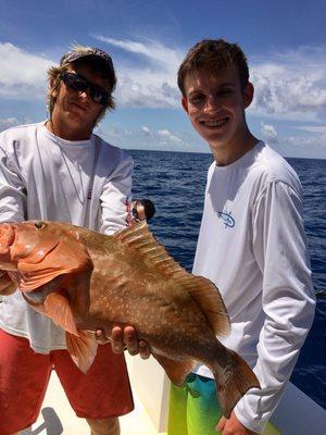 Big fat red grouper