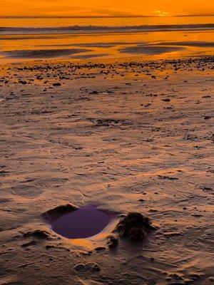 Carpinteria City Beach