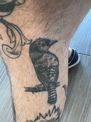 Healed bird leg piece.