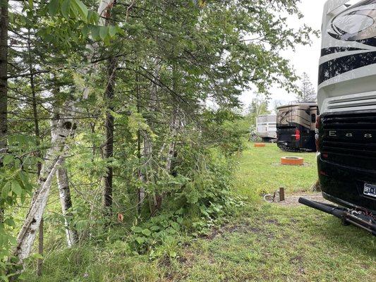 Weeds around a overpriced campsite