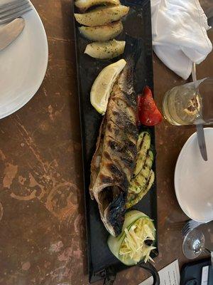 Grilled Branzino