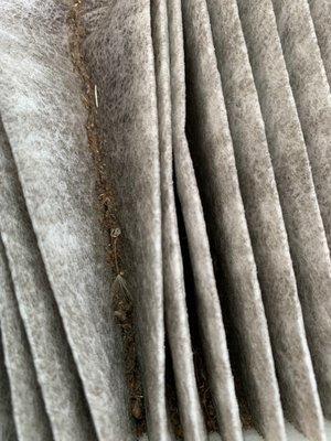 Dirty cabin air filter