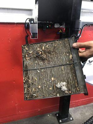 This is the Cabin Air Filter Valvoline pulled out....another that Curry claims they checked and nothing wrong with the past 3 yrs.