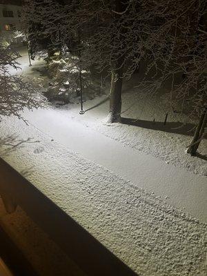 The view out of my third-floor apartment at Washington Woods in the winter time