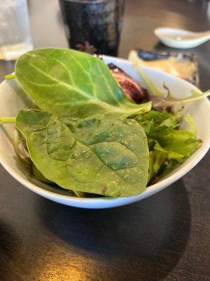 Simple salad with light ginger dressing