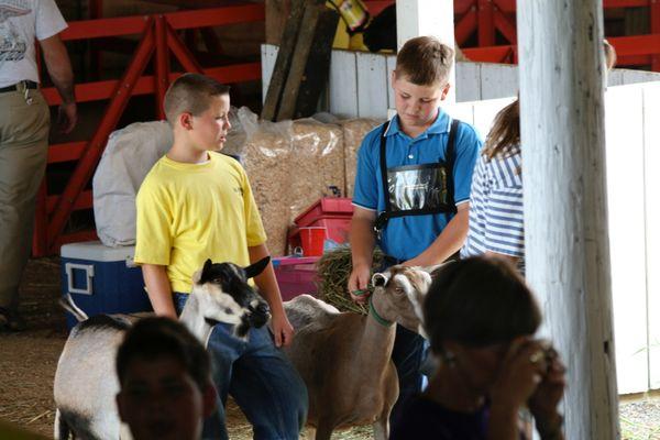 Zekiah Farms3, Tyler and Cody 2008 showing their champion dairy goats.