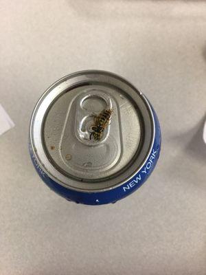 How my Pepsi came... owner said too bad it's not a big deal