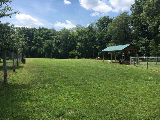 Well-maintained grassy area with plenty of shade.