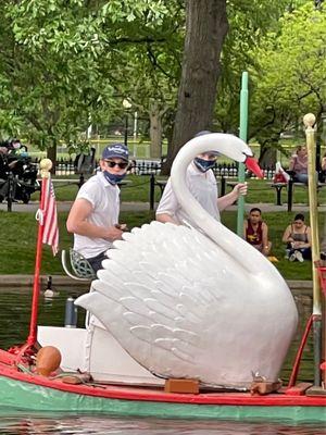 Riding in the Pedal Powered Swan Boats, cruising the Lagoon & Gardens, Skyline & island where Make Way for Ducklings live in Boston