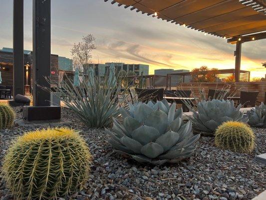 Rooftop seating