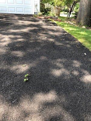 Notice Vegetation Growing Through The Driveway