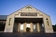 Fayetteville, AR Veterinarians | Animal Medical Clinic