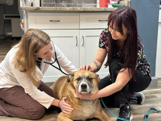 Dr. Caldwell and assistant perform a physical exam on a patient during their annual wellness visit.