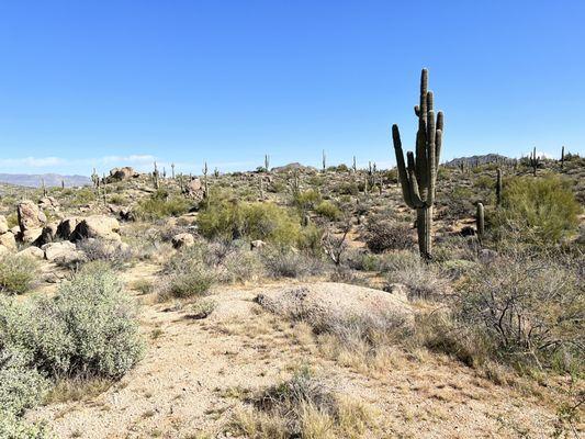 Trail at Brown's ranch.