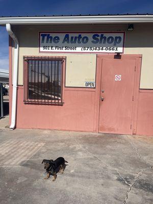 Auto Shop