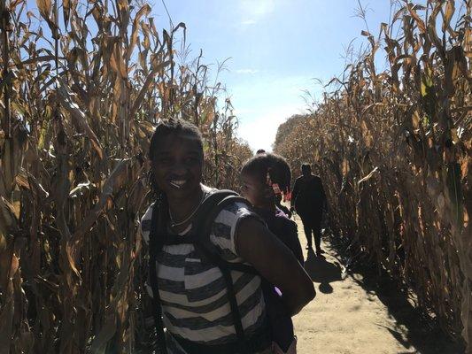 Corn maze 2017