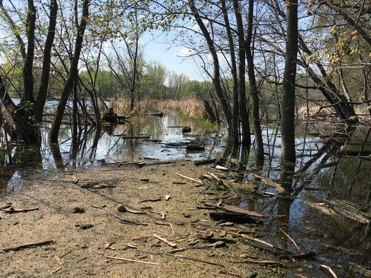 Wood Lake Nature Center