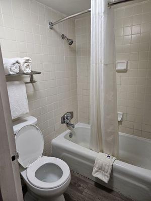 Shower and toilet