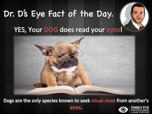 Dr. D's Eye Facts