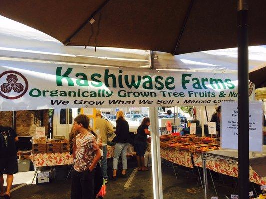 Kashiwase Farms