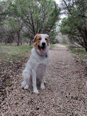 Shout out to Tracy - Pickle's best friend. My handsome boy after seeing Tracy