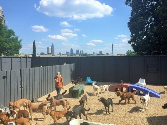 Bark and Board Westside's large outdoor yards feature sun, shade, fresh air and a splash pool or two - all with a beautiful skyline view.