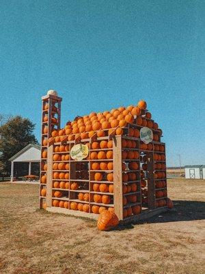 Pumpkins